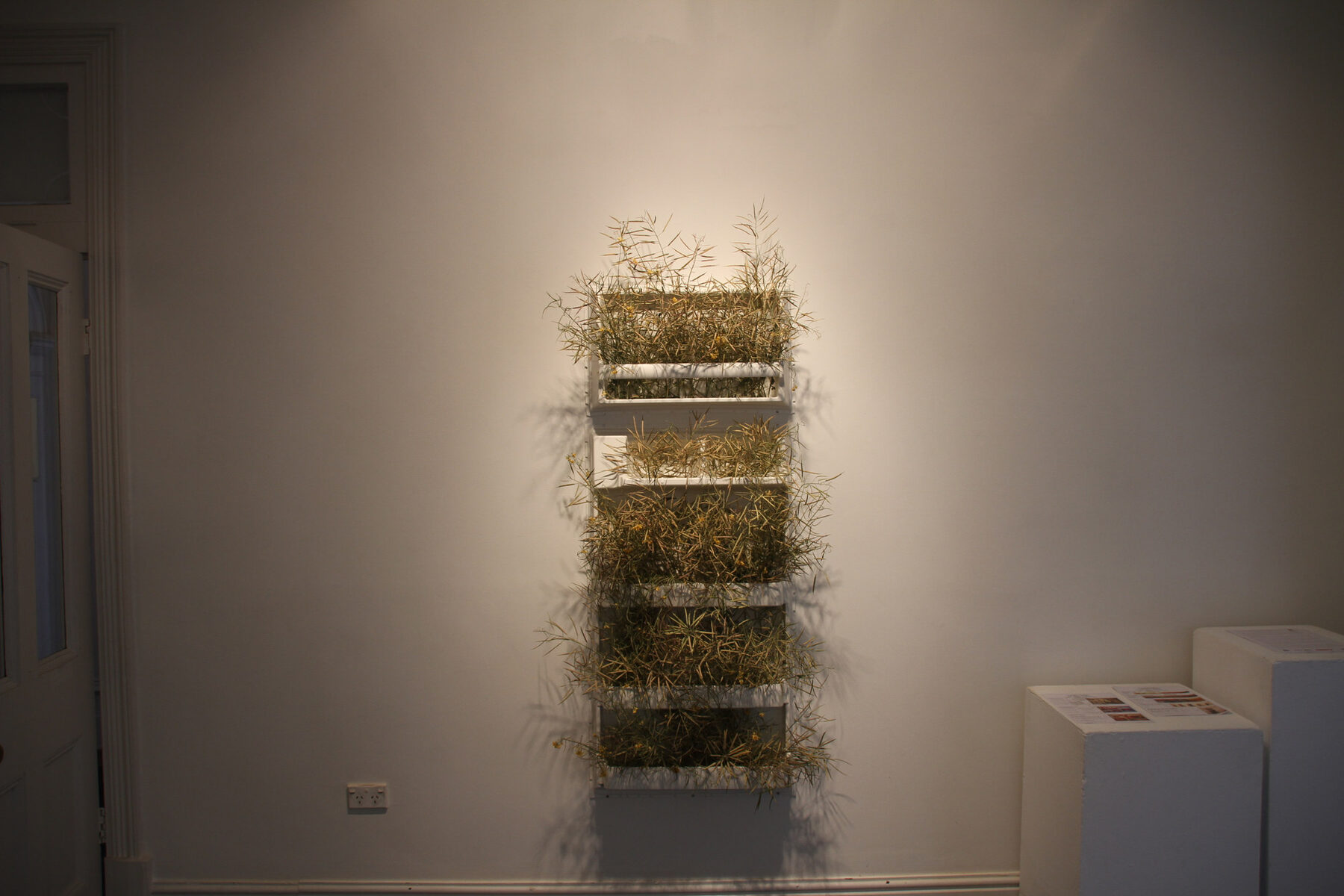 A white refrigerator liner mounted on a dimly lit gallery wall, its shelves packed with dried golden canola swath spilling out.