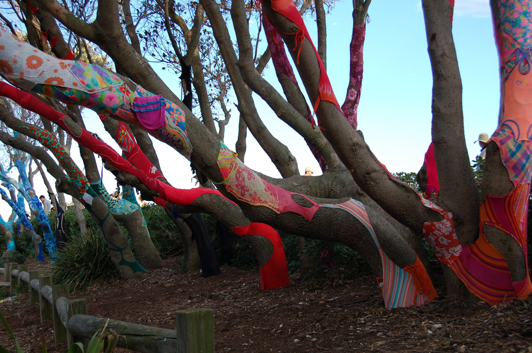 The twisting trunks of a stand of melaleuca trees wrapped in brightly patterned swimming costumes, red and pink against the papery bark.