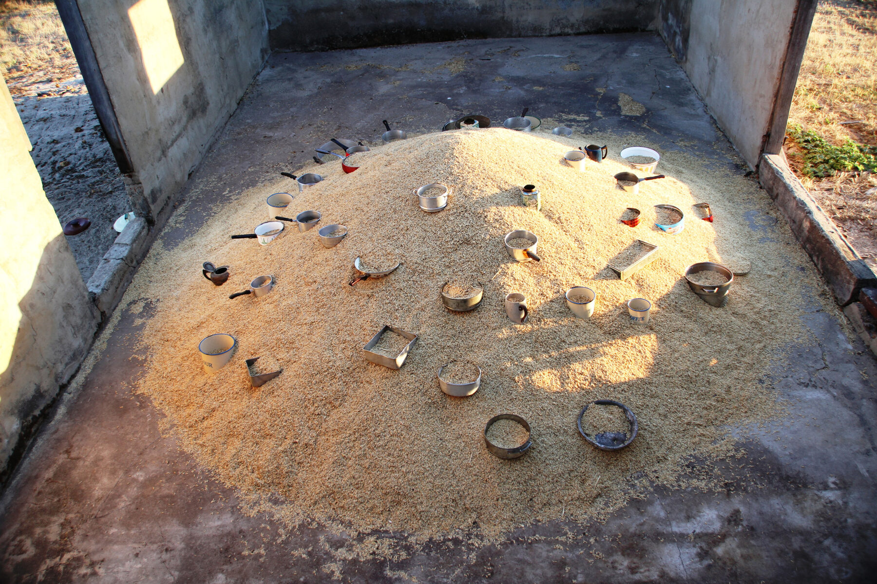 Looking down into a concrete enclosure where a circle of golden wheat grain is scattered with small saucepans and food tins.