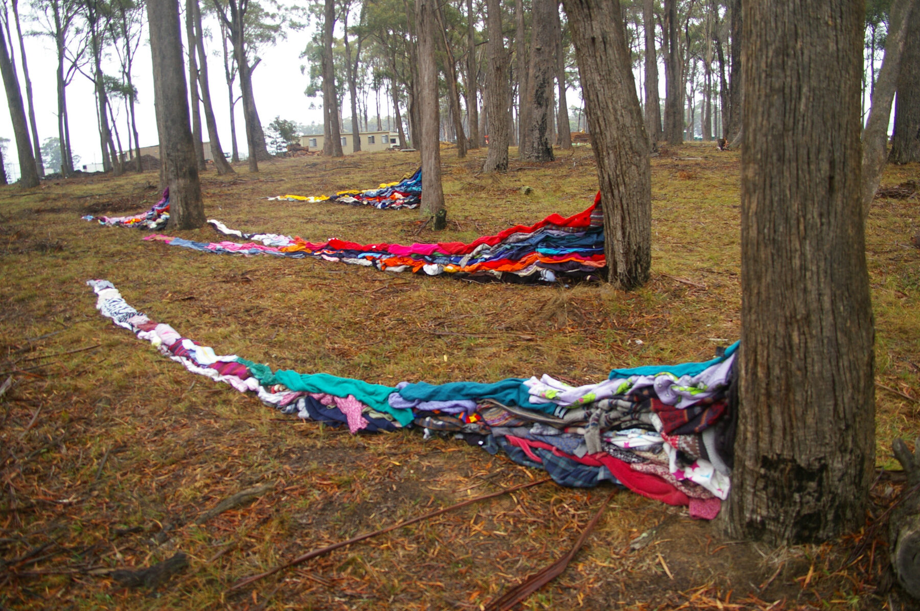 Long bands of colourful clothing laid in curving lines across the forest floor between tall eucalyptus trunks.
