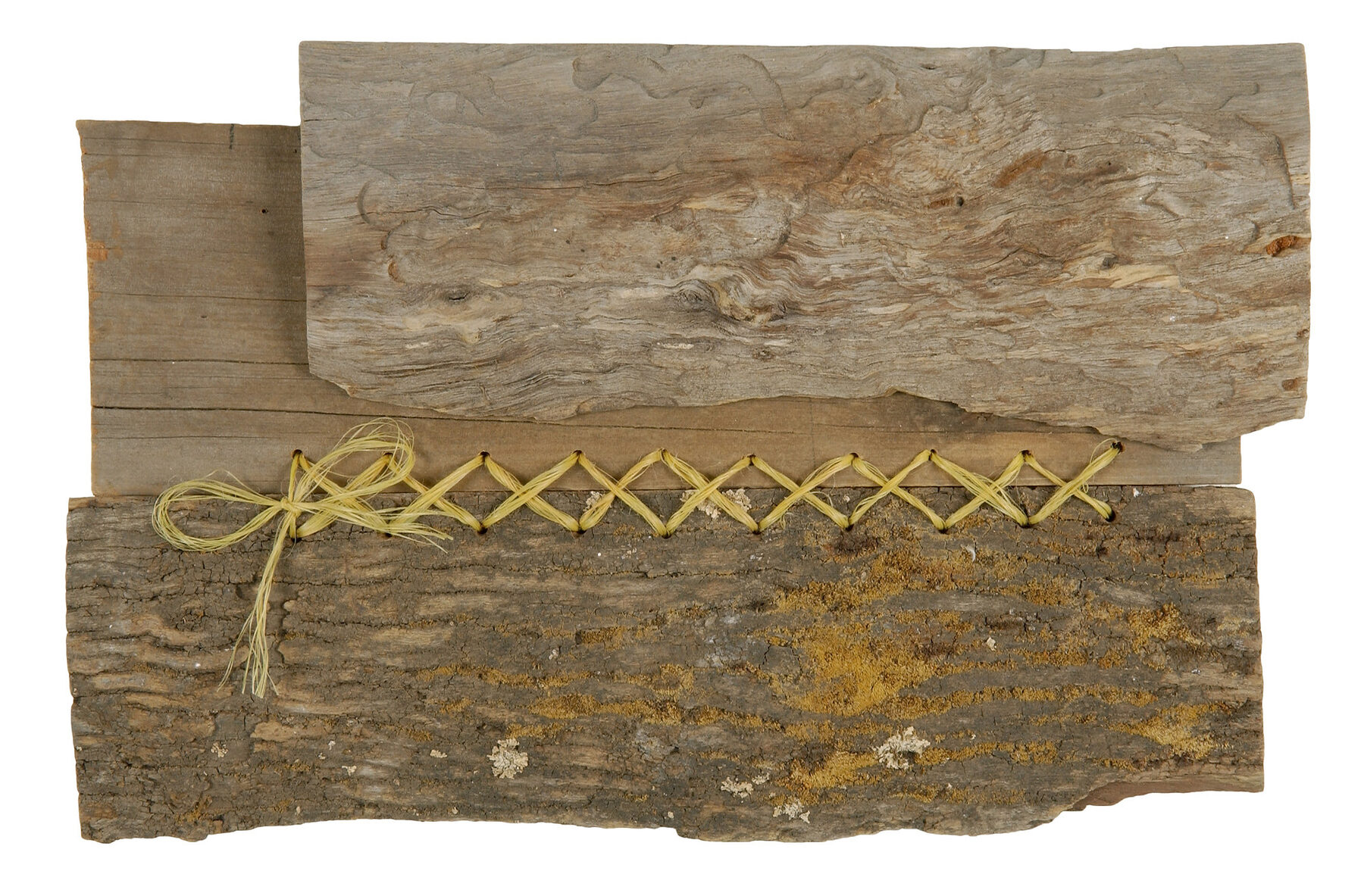 Two overlapping slabs of weathered timber spotted with yellow lichen, laced together with a row of cross-stitches in pale yellow thread.