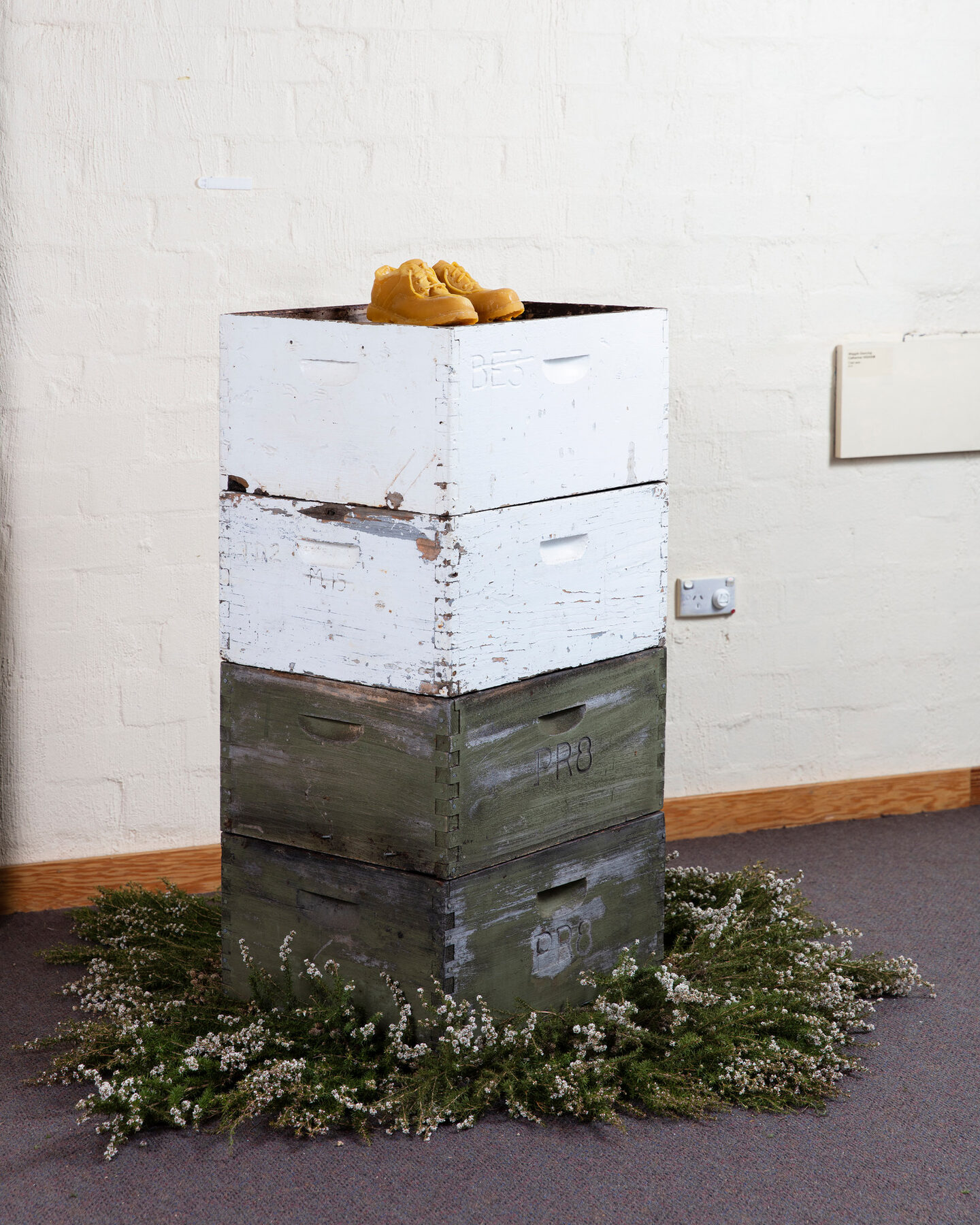 A stack of beehive boxes, white at the top fading to weathered grey below, with golden beeswax forms on top and a ring of teatree around the base.