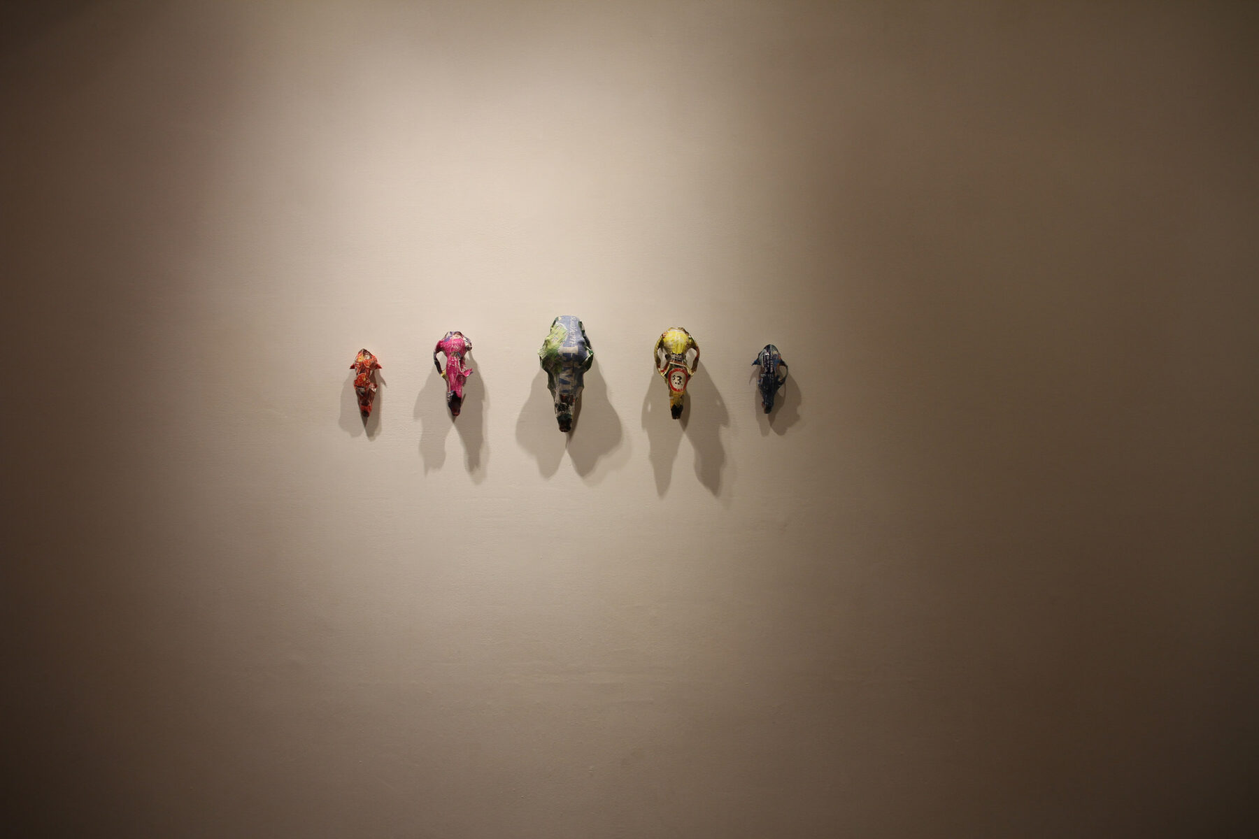 Five small animal skulls covered in coloured newspaper clippings, mounted in a row on a softly lit gallery wall.